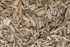 biomass boilers Long Duckmanton